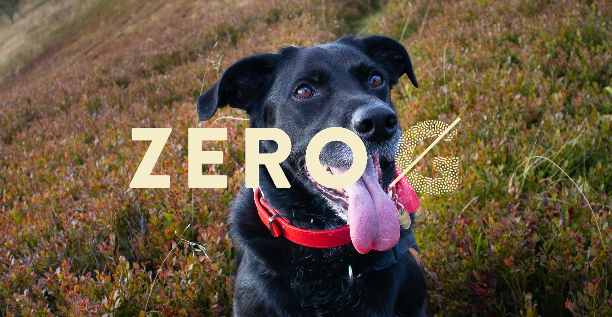 ZERO/G
