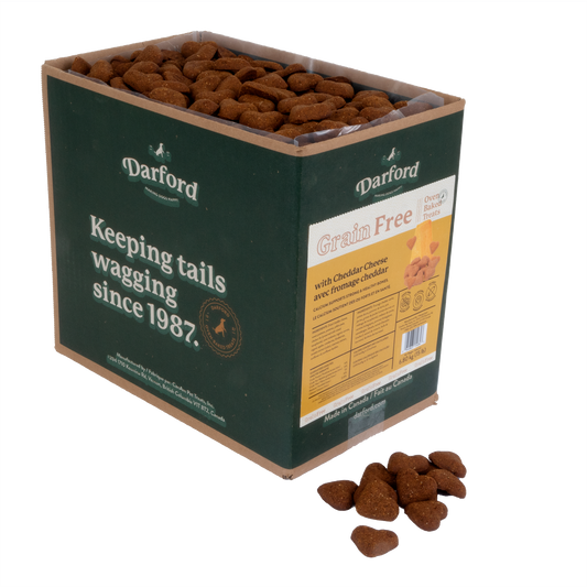 Grain Free Cheddar Cheese Dog Treats