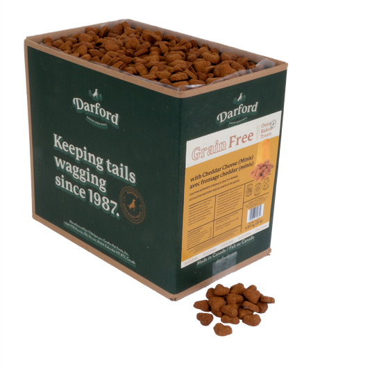 Grain Free Cheddar Cheese Mini Dog Treats