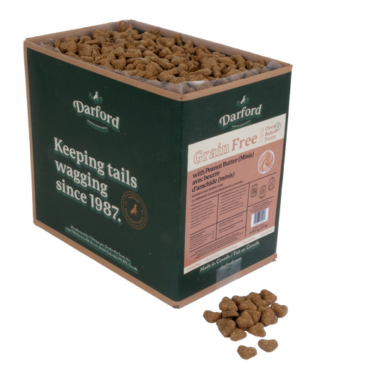 Grain Free Peanut Butter Mini Dog Treats