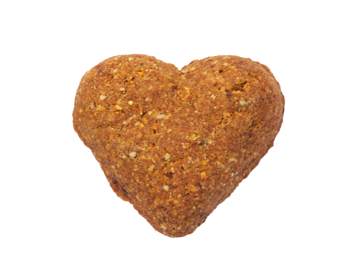 Grain Free Salmon & Vegetable Recipe Mini Dog Treats