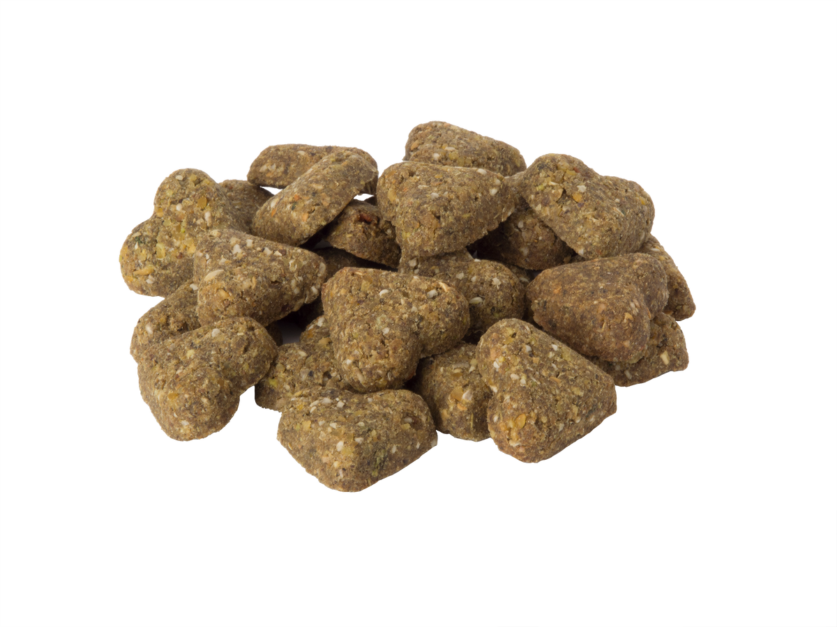 Grain Free Healthy Vegetable & Fruit Dog Treats