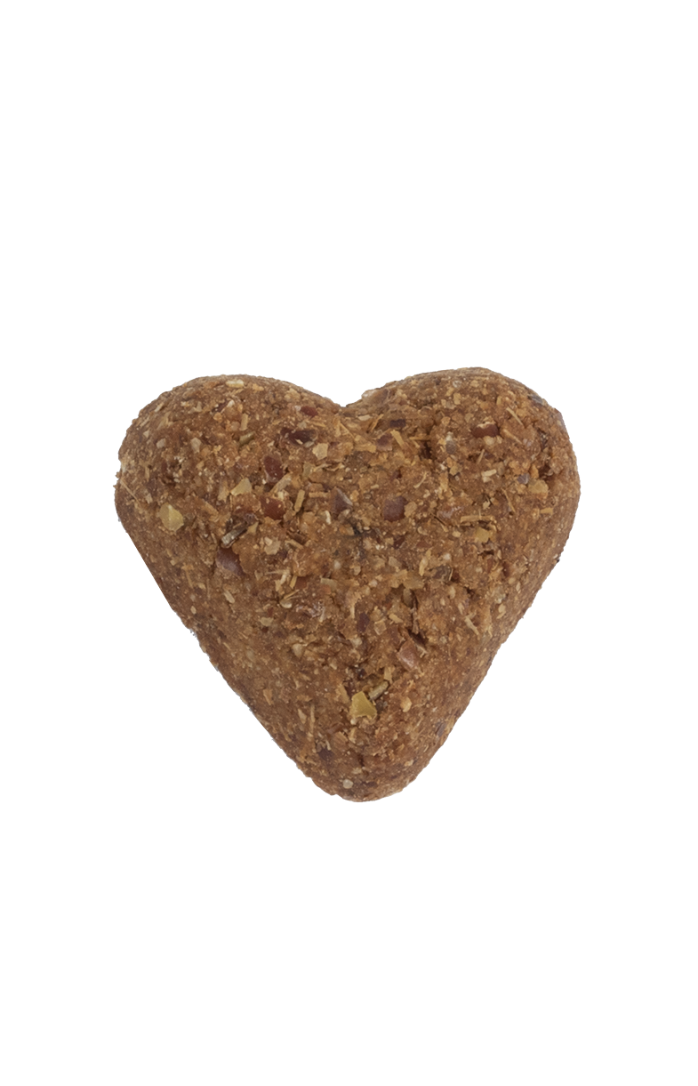 Soft Baked Super Cheesy Dog Treat
