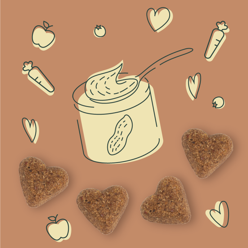 Soft Baked Peanut Buttery Dog Treat