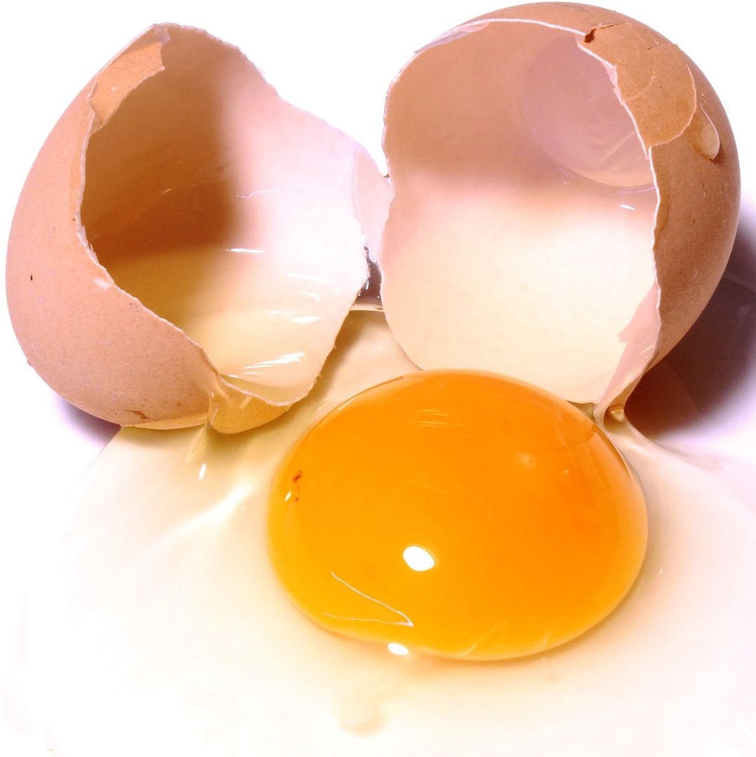 2 Eggs In Shell Free Stock Photo Public Domain Pictures