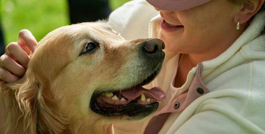 Caring for your dog’s dental health