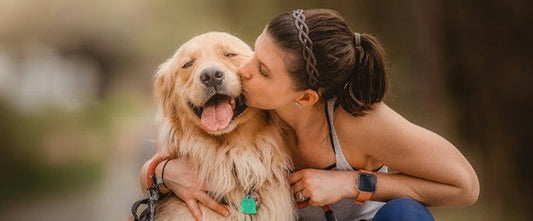 Valentine’s Day treats for dogs