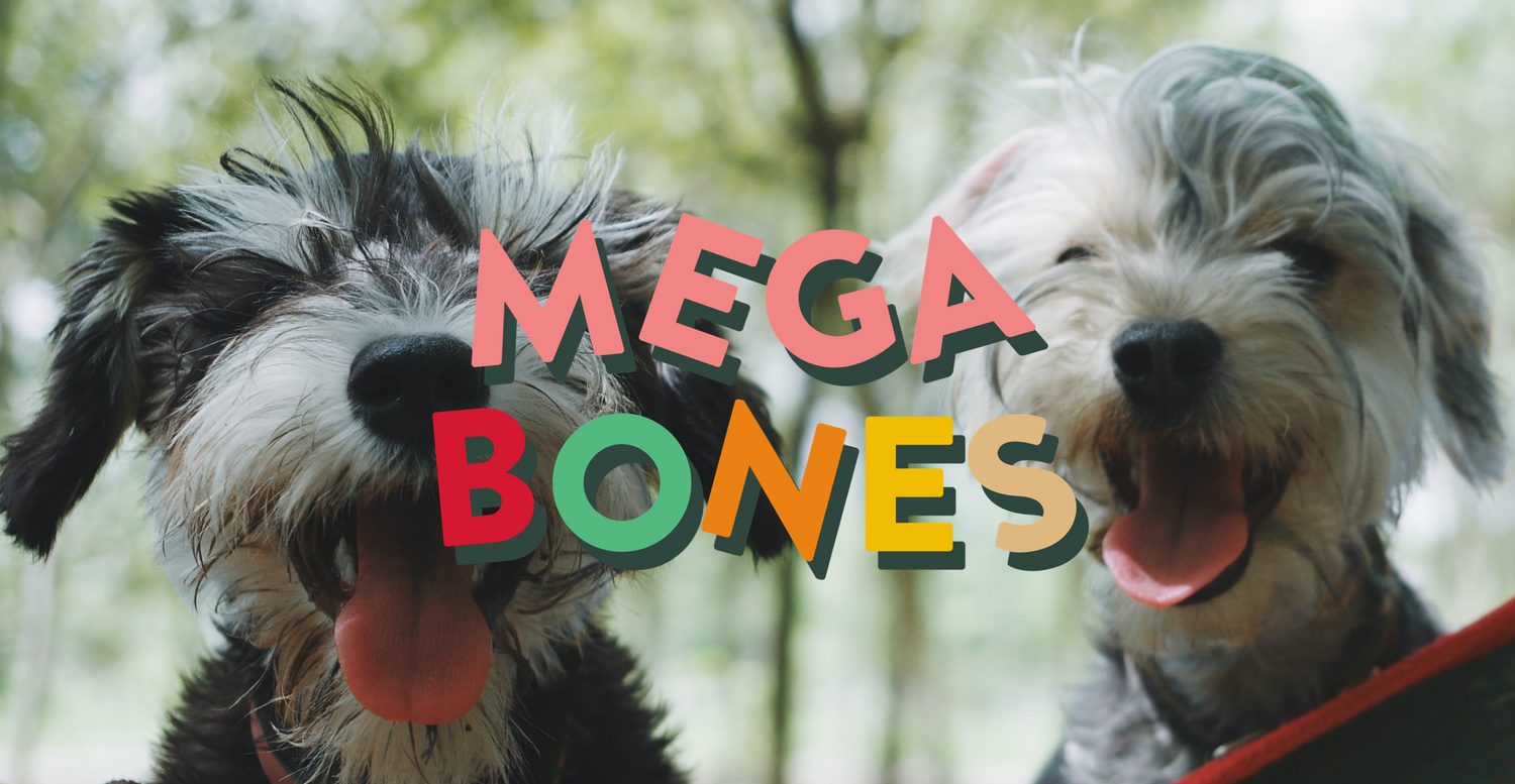 MEGA BONES