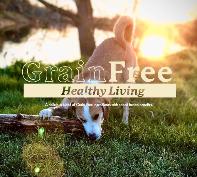 GRAIN FREE HEALTHY LIVING