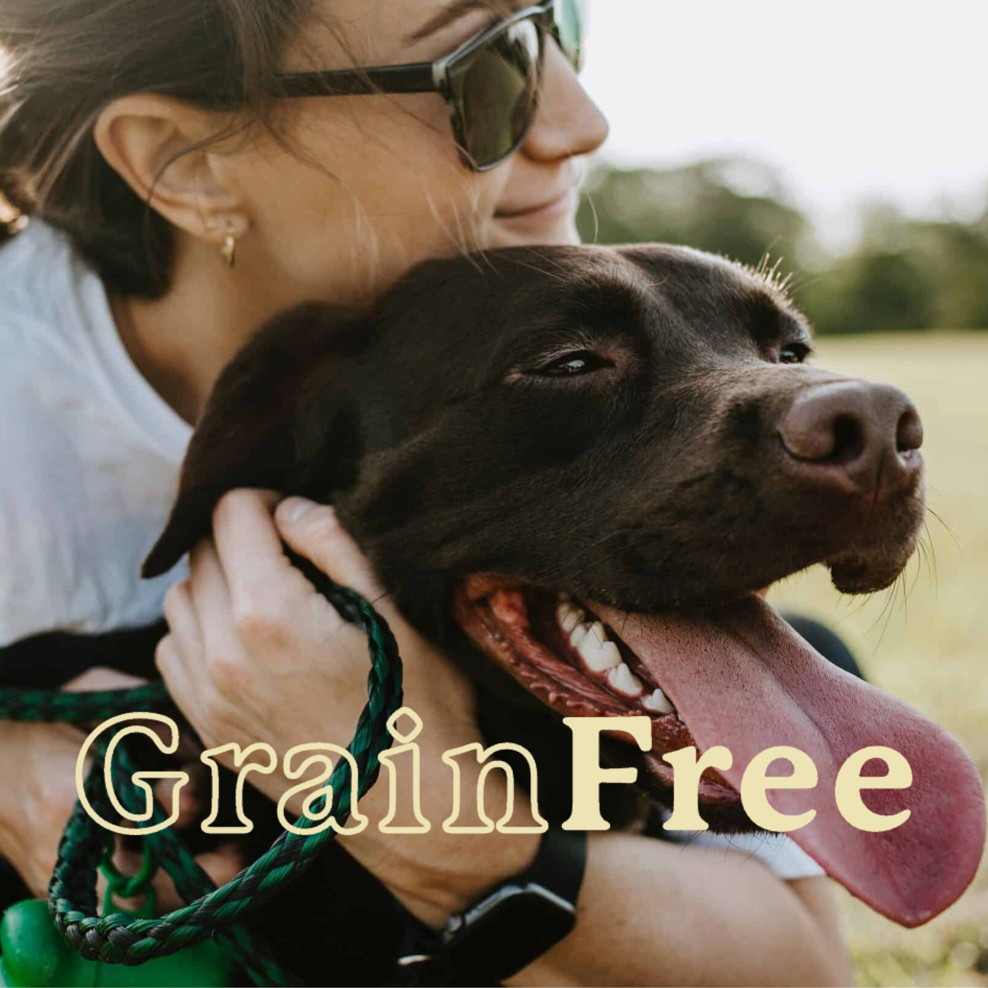 Darford Grain Free Treats for Dogs