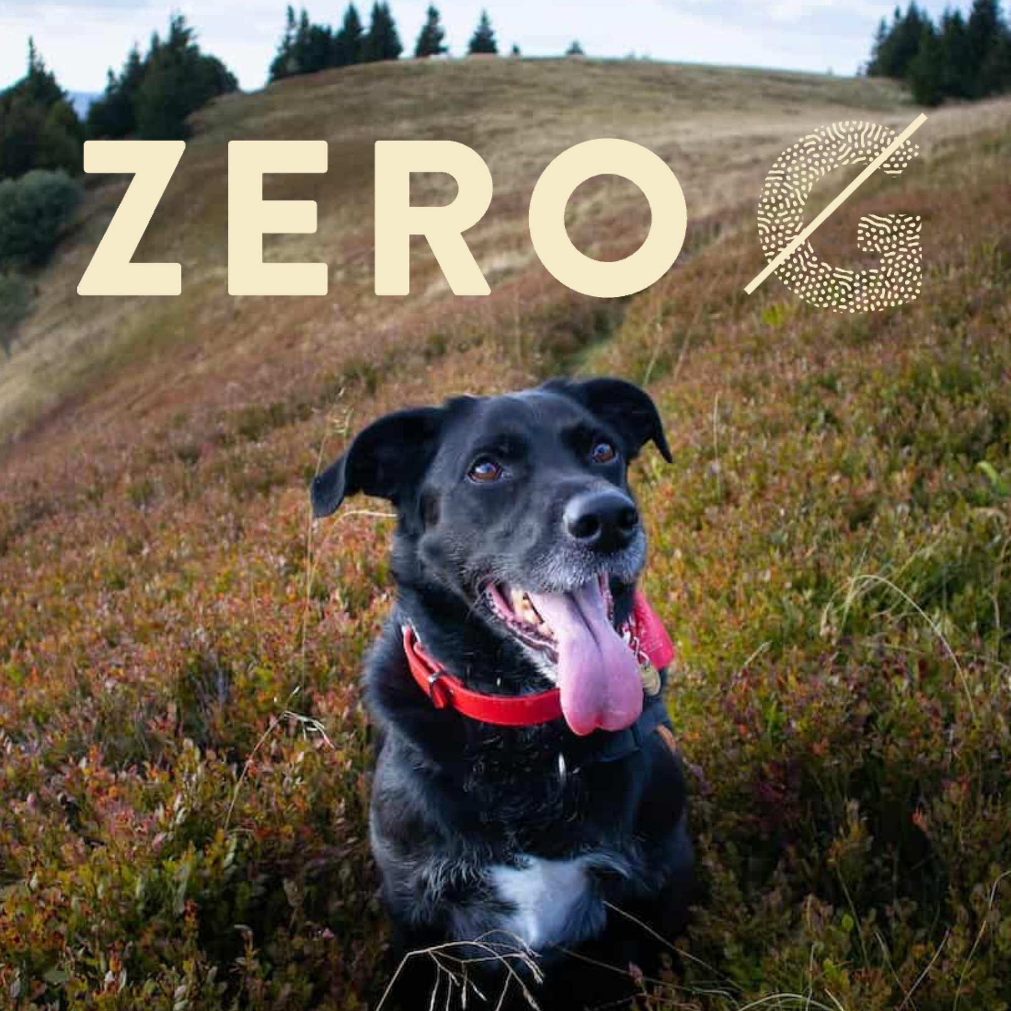 Darford Zero G Food for Dogs