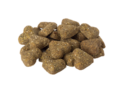 Grain Free Healthy Vegetable & Fruit Dog Treats