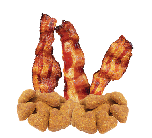 Grain Free Bacon Flavor Dog Treats