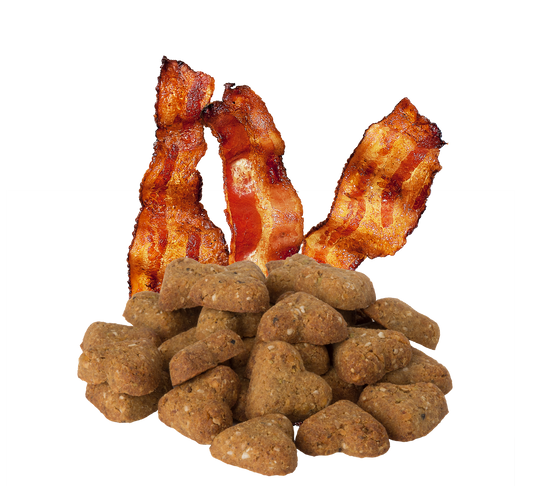 Grain Free Bacon Flavor Mini Dog Treats