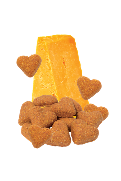 Grain Free Cheddar Cheese Dog Treats