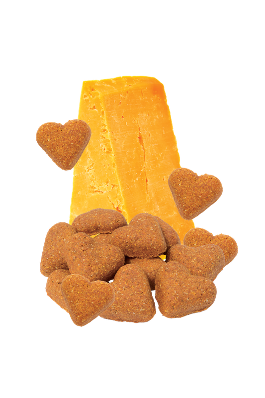 Grain Free Cheddar Cheese Dog Treats