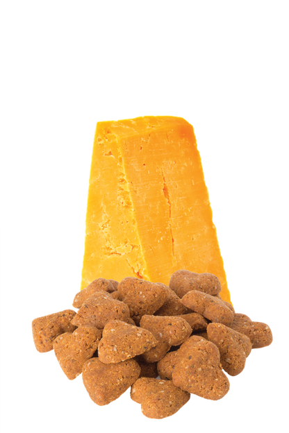 Grain Free Cheddar Cheese Mini Dog Treats