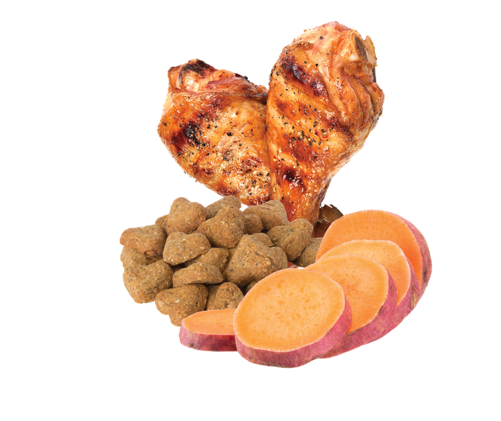 Picture of Grain Free Healthy Digestion Dog Treats – DARFORD Store