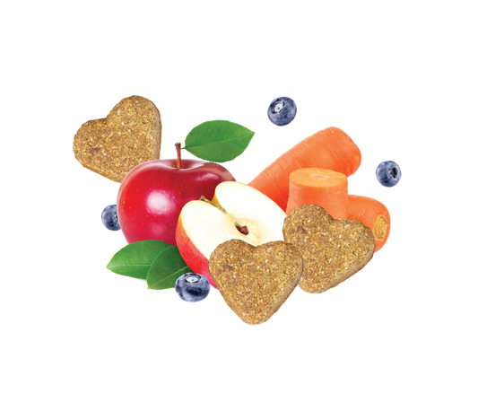 Grain Free Healthy Vegetable & Fruit Dog Treats