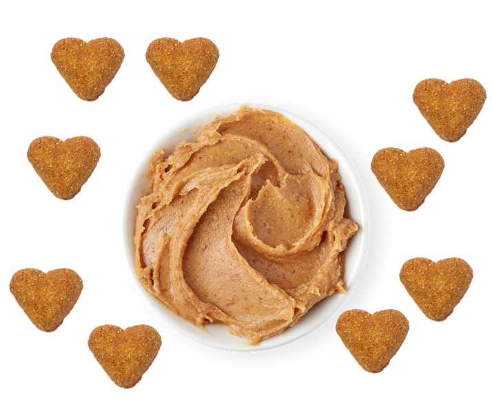 Peanut Butter And Egg Grain Free Texts Signs Dog Treats Reference: Grain Free Peanut Butter Dog Treats