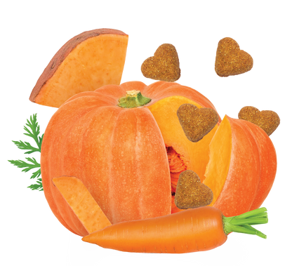 Grain Free Pumpkin & Vegetable Recipe Dog Treats