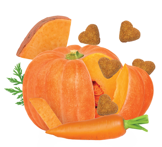 Grain Free Pumpkin & Vegetable Recipe Dog Treats