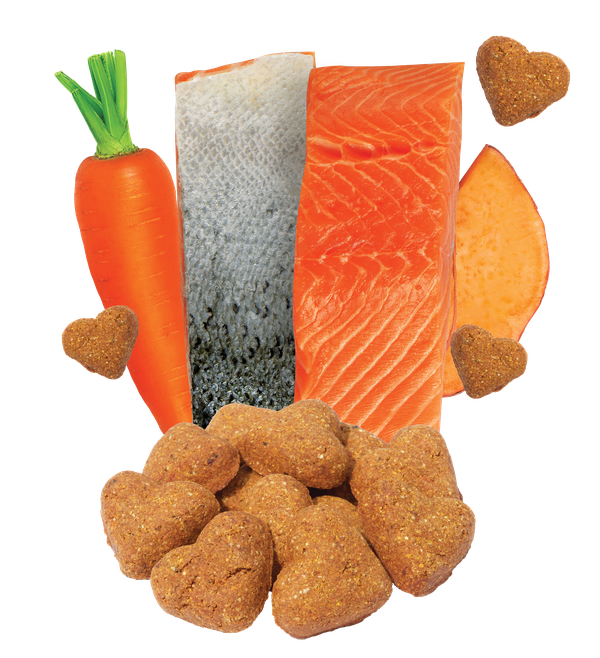 Grain Free Salmon & Vegetable Recipe Dog Treats