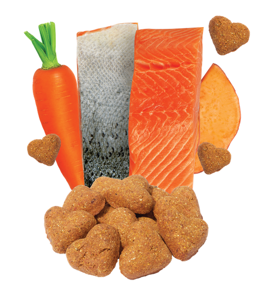 Grain Free Salmon & Vegetable Recipe Dog Treats