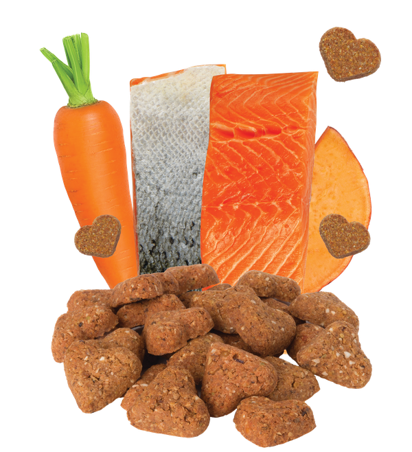 Grain Free Salmon & Vegetable Recipe Mini Dog Treats