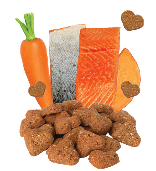 Grain Free Salmon & Vegetable Recipe Mini Dog Treats