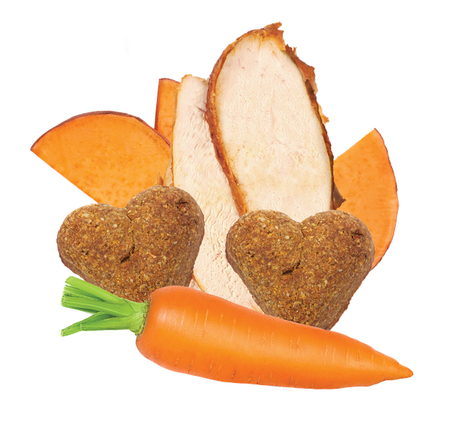 Grain Free Turkey & Vegetable Recipe Dog Treats