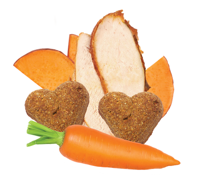 Grain Free Turkey & Vegetable Recipe Dog Treats