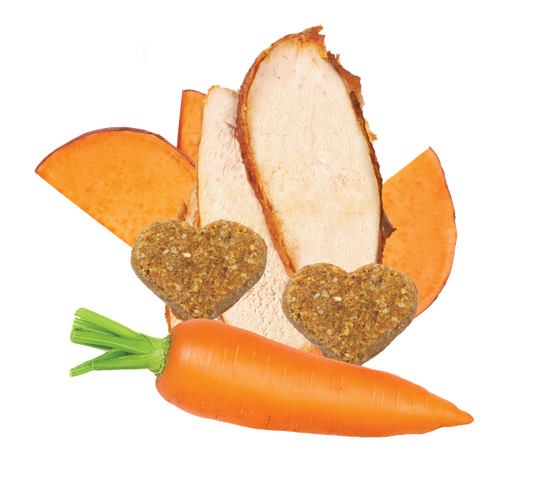 Grain Free Turkey & Vegetable Recipe Mini Dog Treats