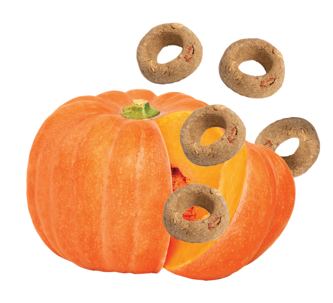 Organic Pumpkin Dog Treats