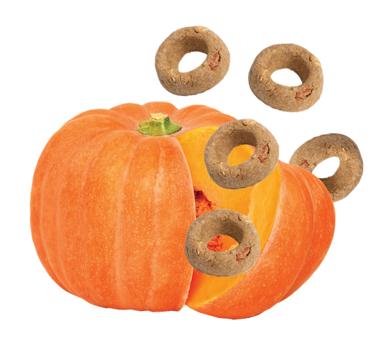 Organic Pumpkin Dog Treats