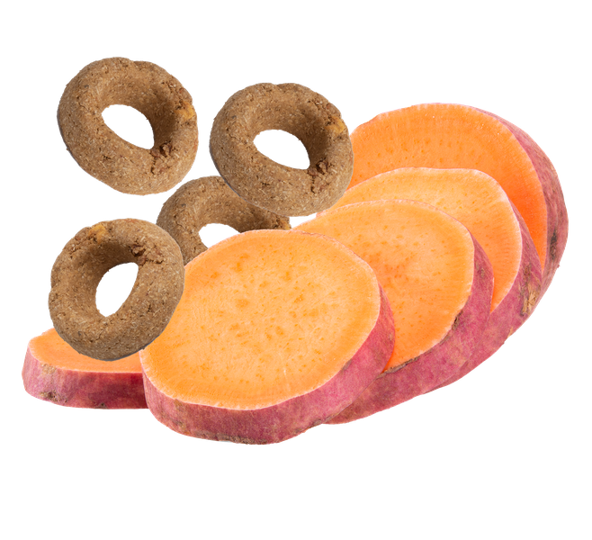 Organic Sweet Potato Dog Treats