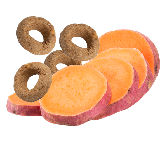 Organic Sweet Potato Dog Treats