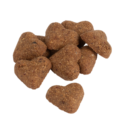 Soft Baked Peanut Buttery Dog Treat
