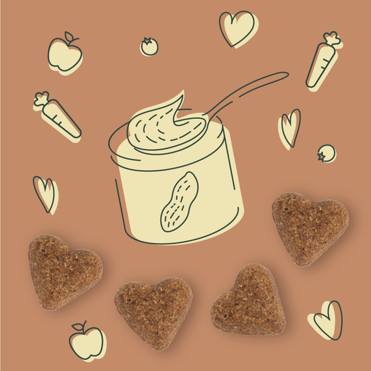 Soft Baked Peanut Buttery Dog Treat