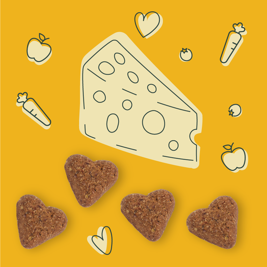 Soft Baked Super Cheesy Dog Treat