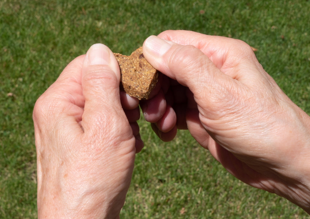 Zero/G Roasted Lamb Dog Treats