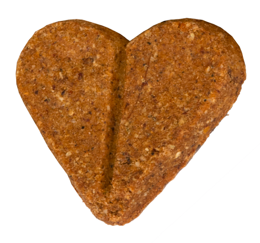 Zero/G Roasted Salmon Dog Treats
