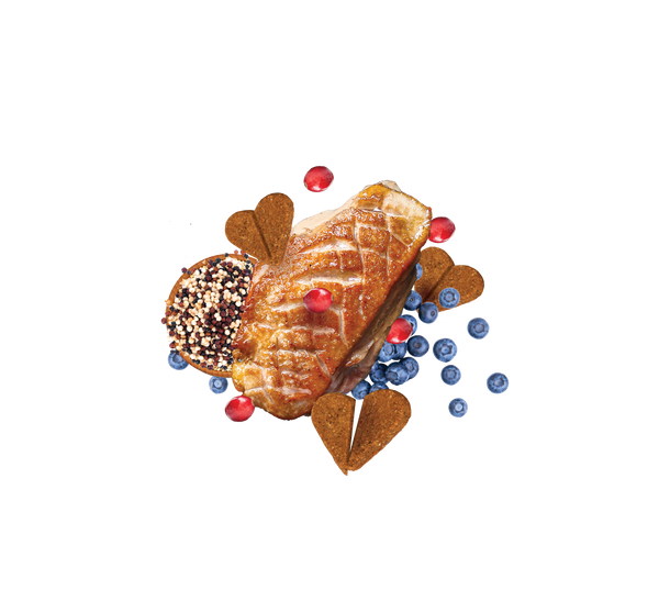 Zero/G Roasted Duck Dog Treats