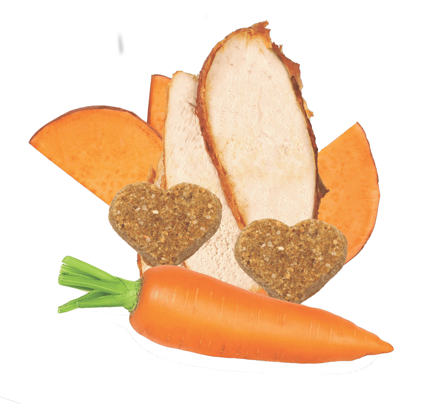 GRAIN FREE Turkey & Vegetable Recipe