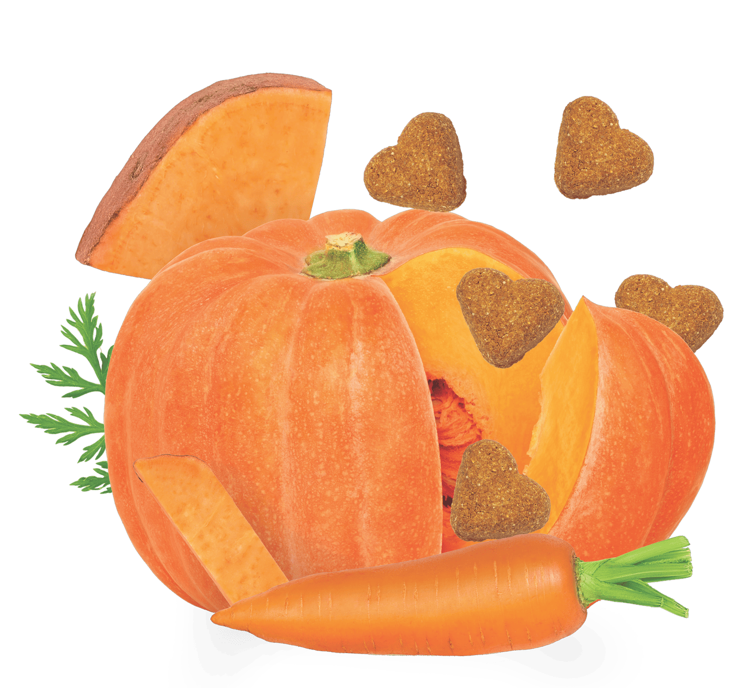 GRAIN FREE Pumpkin & Vegetable Recipe